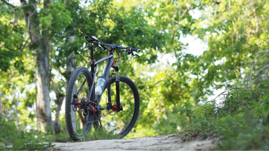 Zdjęcie ilustracyjne