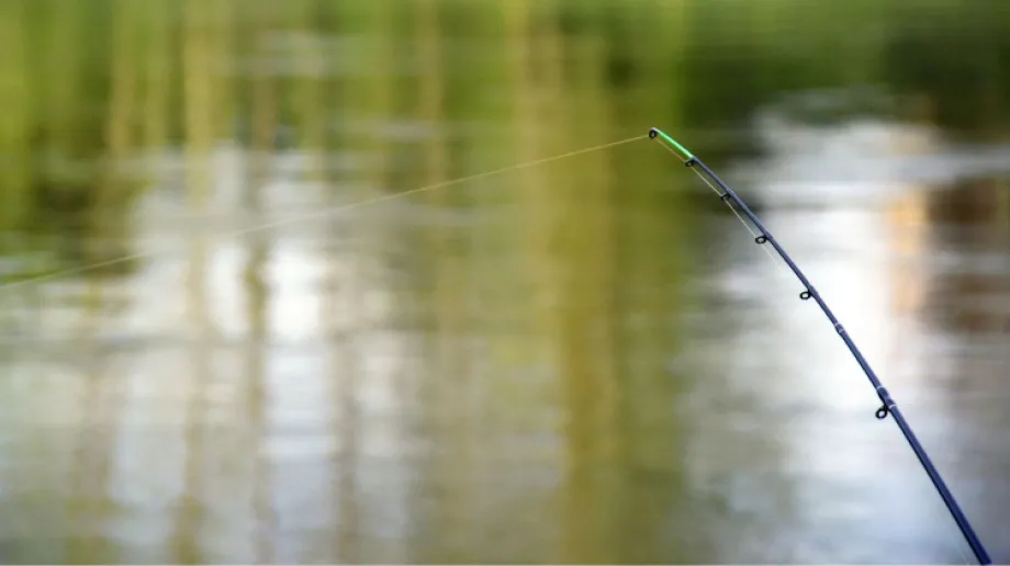 Zdjęcie ilustracyjne