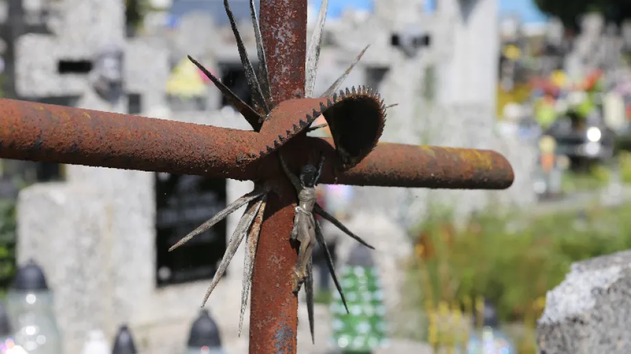 Zdjęcie ilustracyjne