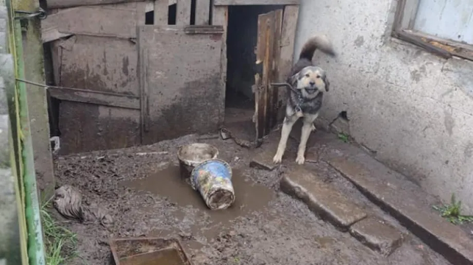 fot. Fundacja LePsie Jutro/ Facebook