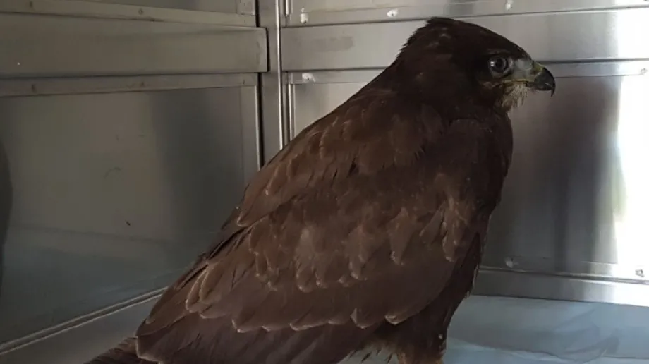 fot. Urząd Miasta Ostrów Mazowiecka