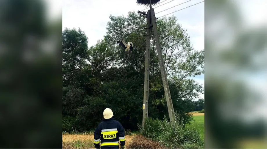 Fot. OSP KSRG Boguty / Facebook