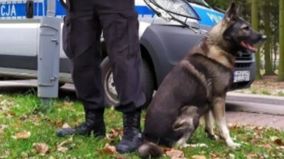fot. Komenda Powiatowa Policji w Ostrowi Mazowieckiej
