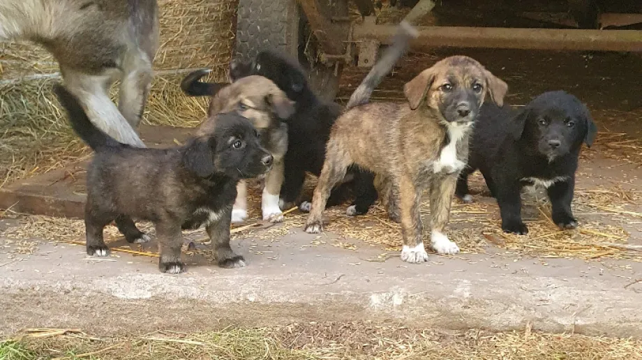 fot. Urząd Gminy Nur