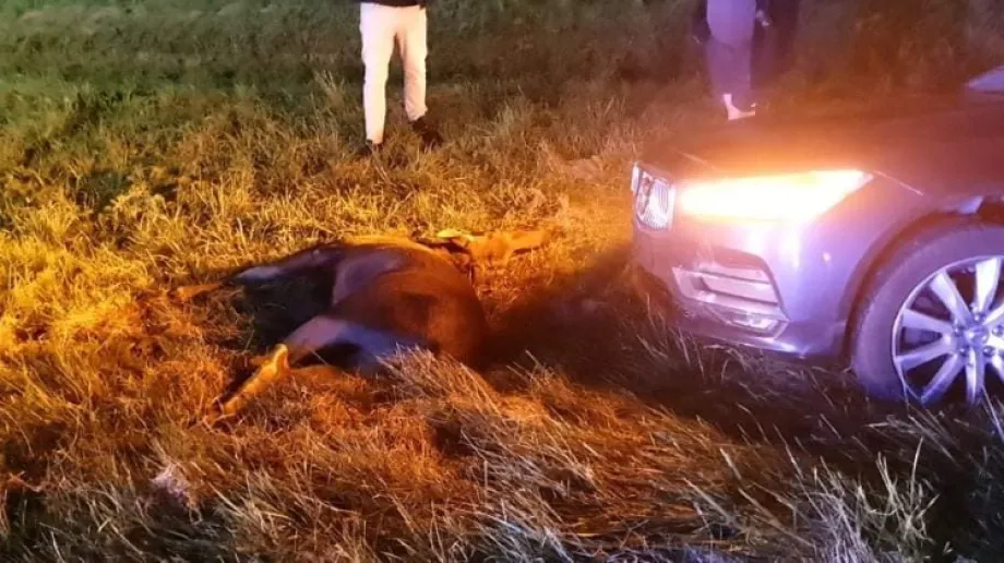 fot. OSP Stary Lubotyń