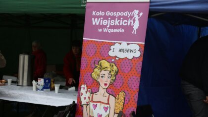 Ostrów Mazowiecka - Mieszkańcy gminy Wąsewo mieli okazję uczestniczyć w  Pikniku