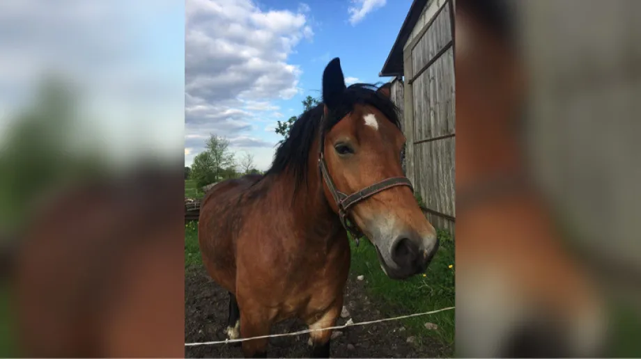 fot. archiwum prywatne