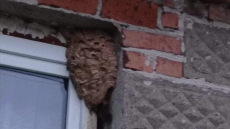 fot. OSP Stary Lubotyń