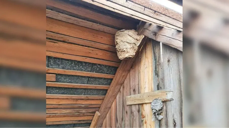 Fot. OSP KSRG Stary Lubotyń / Facebook