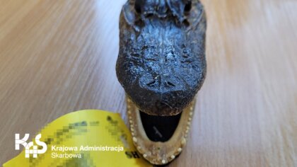 Ostrów Mazowiecka - Dwie przesyłki, jedną z USA, drugą z Polski poddali rewizji 