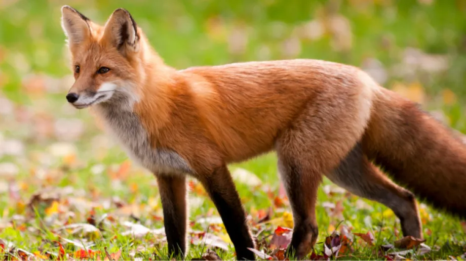 Fot. Urząd Miasta Ostrów Mazowiecka