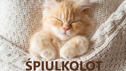 Ostrów Mazowiecka - Czym jest śpiulkolot wie niemal każdy, kto porusza się w prz