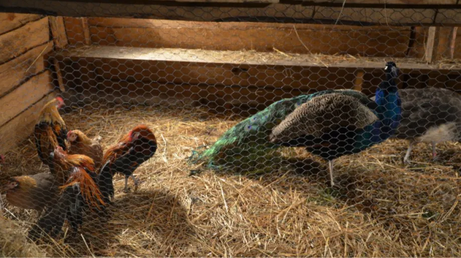 Fot. Urząd Gminy Małkinia Górna