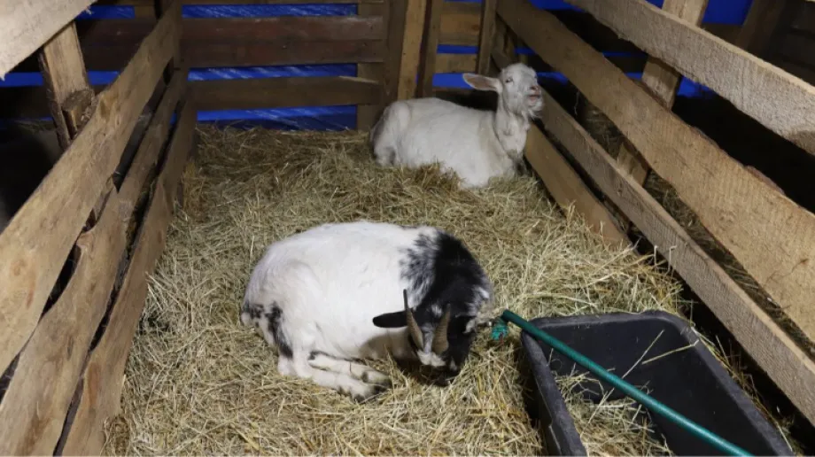 Fot. Urząd Gminy Małkinia Górna