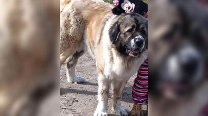 Ostrów Mazowiecka - Do naszej redakcji z prośbą o pomoc zgłosiła się jedna z czy