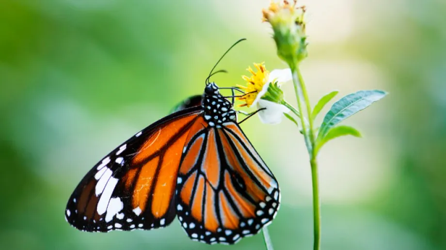 Fot. Urząd Miasta Ostrów Mazowiecka