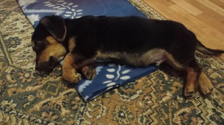 Fot. Urząd Gminy Małkinia Górna