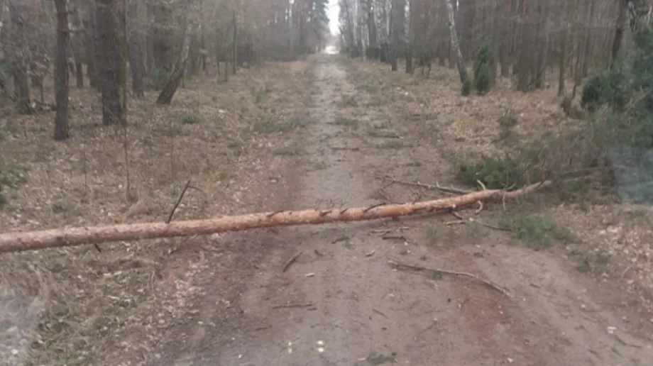 Fot. OSP Zaręby Kościelne / Facebook