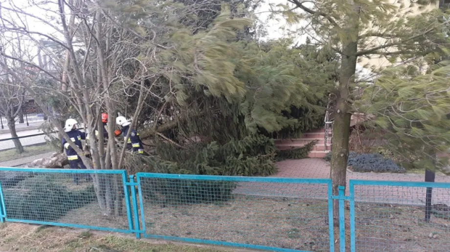 Fot. OSP Zaręby Kościelne / Facebook