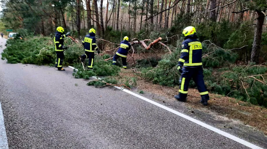 Fot. Ochotnicza Straż Pożarna w Bogutach-Piankach / Facebook