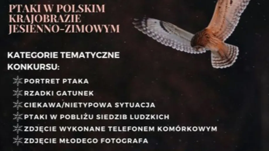 Fot. Ostrowskie Stowarzyszenie 
