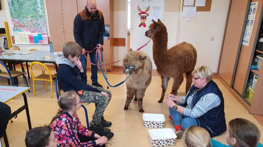 Fot. Szkoła Podstawowa nr 1 / Facebook