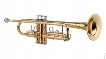 Ostrów Mazowiecka - Podczas ostatniej sesji Rady Miasta w Ostrowi Mazowieckiej r