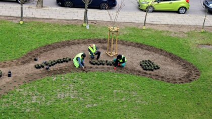 Ostrów Mazowiecka - Miasto Ostrów Mazowiecka zrealizowało projekt pod nazwą 