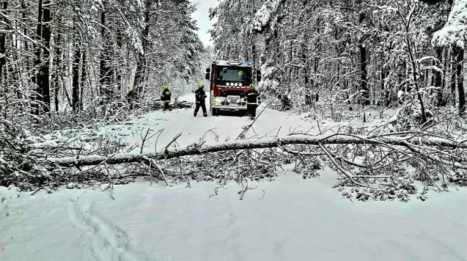 Fot. Ochotnicza Straż Pożarna w Bogutach-Piankach / Facebook