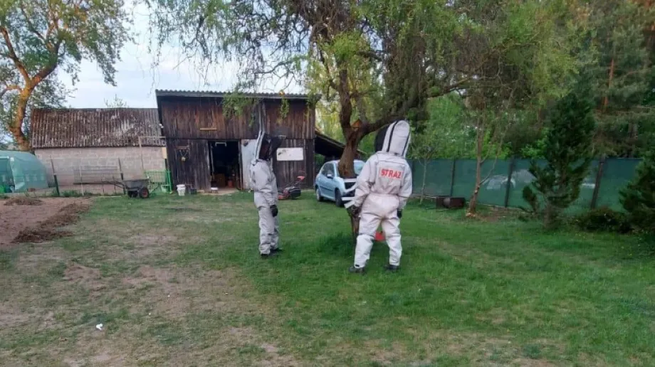 Fot. OSP KSRG Stary Lubotyń / Facebook