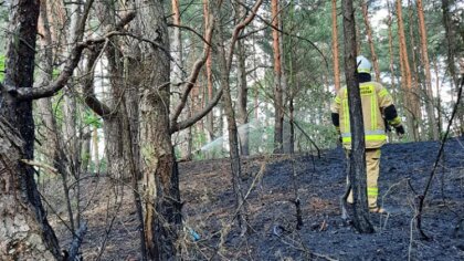 Ostrów Mazowiecka - Jednostka Ochotniczej Straży Pożarnej w Grądach zadysponowan