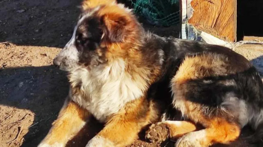 Fot. Gmina Zaręby Kościelne / Facebook