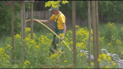 Ostrów Mazowiecka - Ostrowska Spółdzielnia Socjalna jest związana z Urzędem Mias