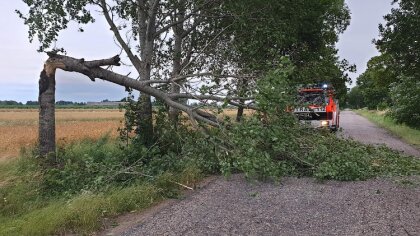 Ostrów Mazowiecka - Ochotnicza Straż Pożarna w Andrzejewie została zadysponowana