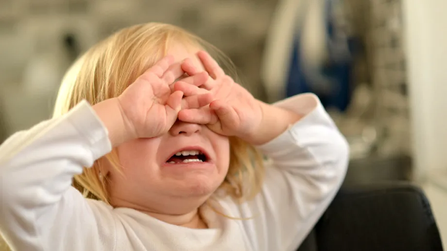 Zdjęcie ilustracyjne