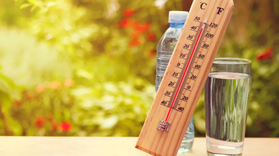 Zdjęcie ilustracyjne