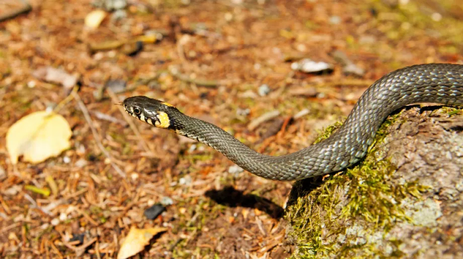 Zdjęcie ilustracyjne