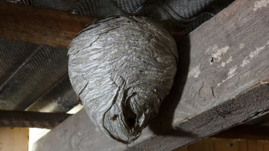 Zdjęcie ilustracyjne