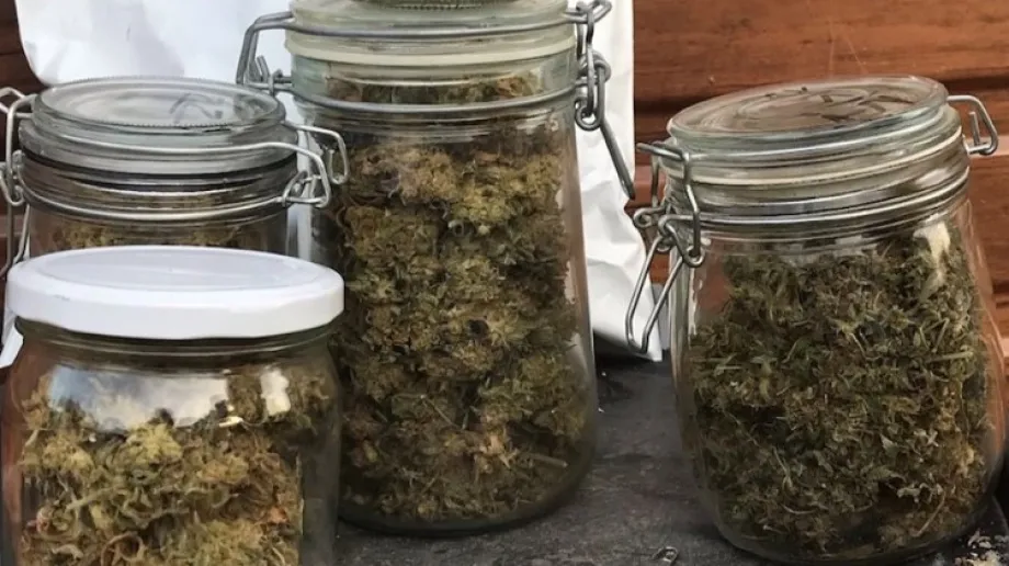 Fot. Komenda Powiatowa Policji w Ostrowi Mazowieckiej