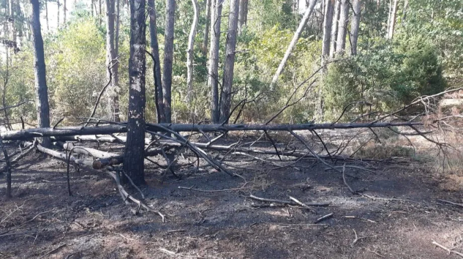 Fot. OSP KSRG Stary Lubotyń 