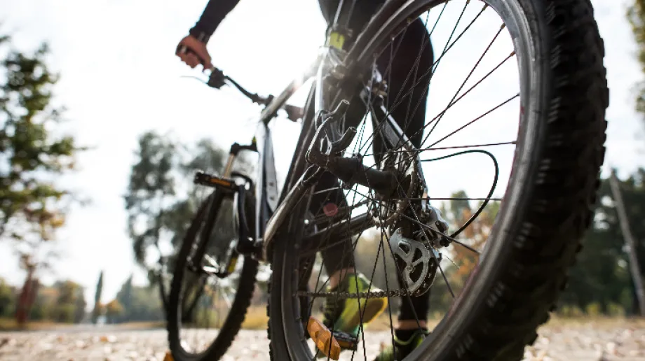 Zdjęcie ilustracyjne