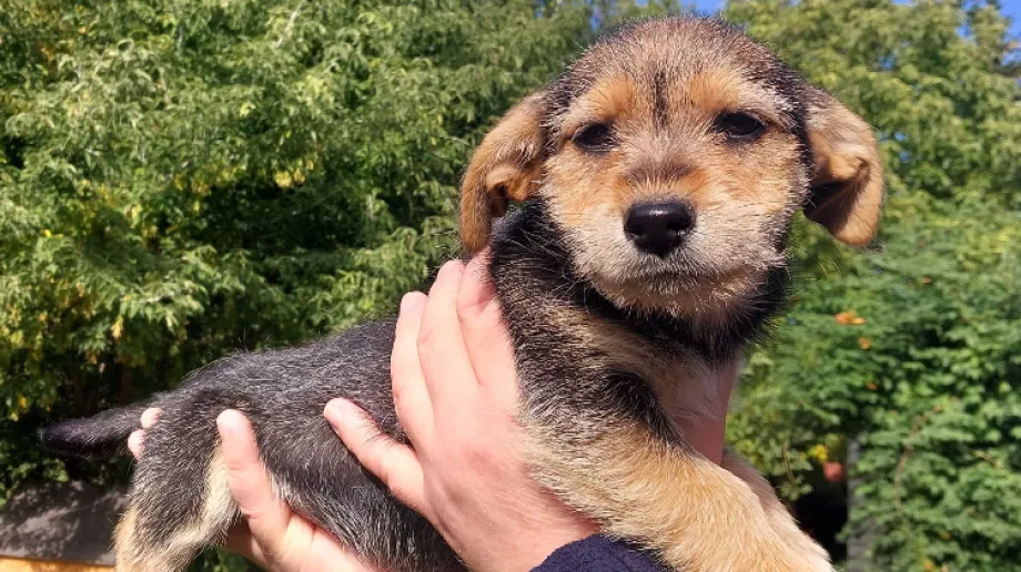 Fot. Urząd Miasta Ostrów Mazowiecka