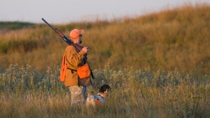 Ostrów Mazowiecka - Nadleśnictwo w Ostrowi Mazowieckiej wydało informację o tym,