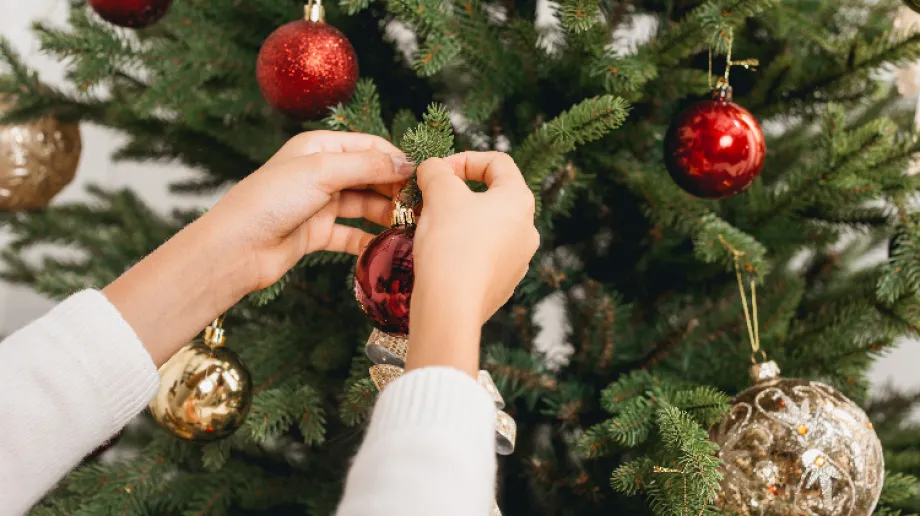 Zdjęcie ilustracyjne