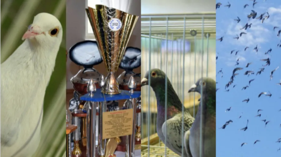 Fot. Urząd Miasta Ostrów Mazowiecka