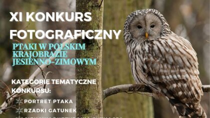 Ostrów Mazowiecka - Stowarzyszenie 