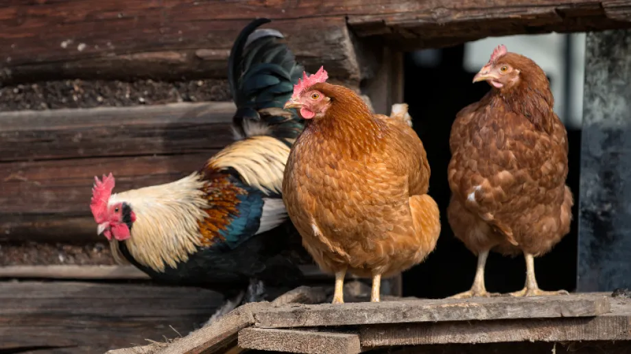 Zdjęcie ilustracyjne