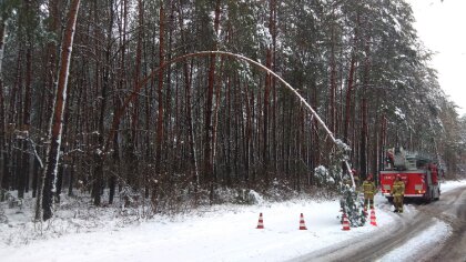 Ostrów Mazowiecka - Ochotnicza Straż Pożarna w Zarębach Kościelnych usunęła zagr