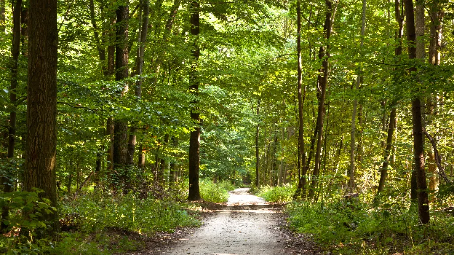 Zdjęcie ilustracyjne