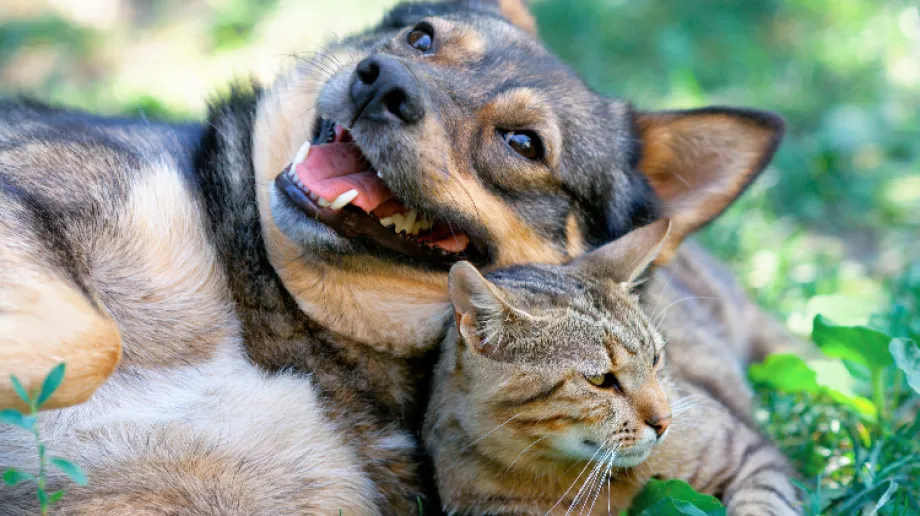 Zdjęcie ilustracyjne